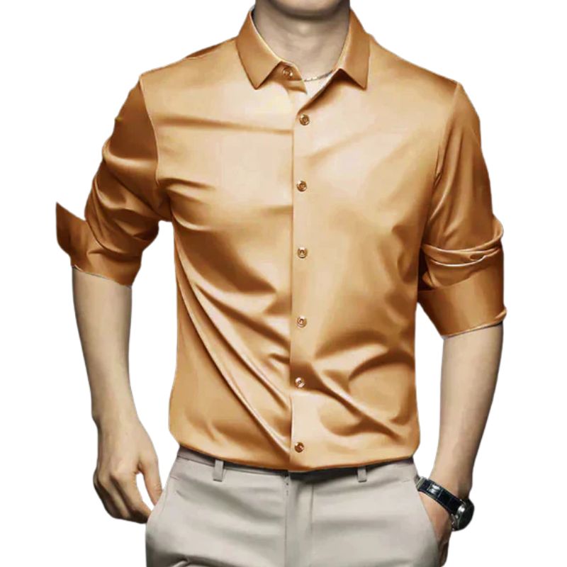 Classic wrinkle-free men's shirt